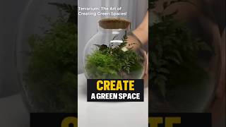 Create a Green Space terrarium design howtocreatelogodesign [upl. by Enaira]