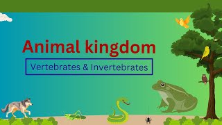 Classification of Vertebrates amp Invertebrates  Animal kingdom  Grade 7 [upl. by Par]