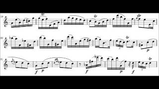 Carl Philipp Emanuel Bach 17141788 Sonata for Solo Flute in A Minor H 562 I Poco Adagio [upl. by Hnaht692]