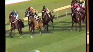 McGinty1984 Rawson Stakes [upl. by Lim]