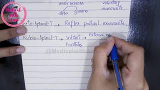 FUNCTIONS OF DESCENDING TRACTS OF SPINAL CORD IN EASY WAY  NEUROANATOMY [upl. by Tobit]