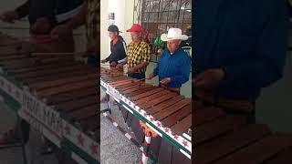 MARIMBA INDIANA MAYA [upl. by Graig]