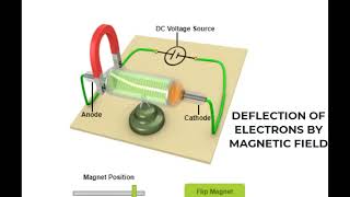 Deflection Of Electrons By Magnetic field Animtion  Class 12 Physics Animations  Friends Physics [upl. by Greenquist961]