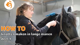 HOW TO KNOTTEN maken in LANGE MANEN  Deel 1  67  Epplejeck [upl. by Yajnas147]