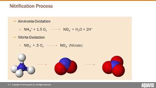 Unlock Nitrification amp Remove Ammonia [upl. by Smada]