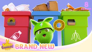 SUNNY BUNNIES  Recycling Fun  BRAND NEW EPISODE  Season 8  Cartoons for Kids [upl. by Airat]