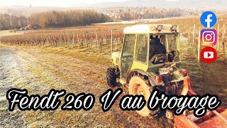 FENDT 260 V AU BROYAGE DES SARMENTS [upl. by Tterb]