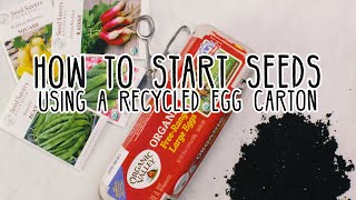 How to Start Seeds Indoors with a Recycled Egg Carton  Organic Valley [upl. by Aleirbag]