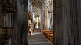 Uppsala Cathedral Uppsala domkyrka Sweden [upl. by Ateuqram]