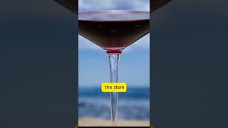 What If Wine Glass Doesnt Have Stem [upl. by Eelydnarb]