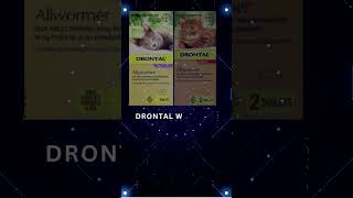 Drontal Wormer for Cats  Buy Drontal All Wormer Tablets Online  Vetsupply [upl. by Lenneuq69]