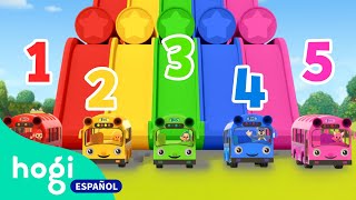 Aprende a contar los autobuses  Números y Colores  LOS NÚMEROS del 1 al 10  Hogi en español [upl. by Wong]