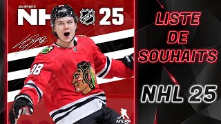 MA LISTE DE SOUHAITS POUR NHL 25 [upl. by Dnalel]