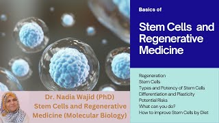 Stem Cells and Regenerative Medicine [upl. by Vittorio959]