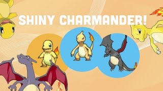 Pokemon Brick Bronze  SHINY CHARMANDER EVOLUTION [upl. by Tor]