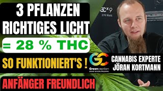 3 Pflanzen Cannabis Anbau richtige LED Lichtspektrum für beste Qualität Anfänger Greenception [upl. by Ydaj534]