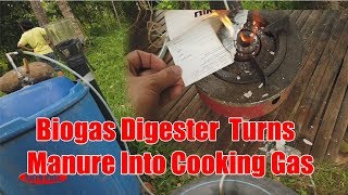 Biogas Digester Turns Carabao Manure Into Cooking Gas [upl. by Codie328]