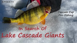 Lake Cascade Giants  Cascade Cup PreFish  Ice Fishing for Jumbo Perch fishing [upl. by Ohploda]