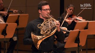 StageSeven Mozart Horn Concerto Eflat major K 495 – Marc Gruber  Elias Grandy [upl. by Rehportsirhc]