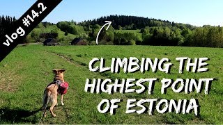 CLIMBING THE HIGHEST POINT OF ESTONIA  Hiking Through Estonia vlog 142 [upl. by Enitsirhc349]