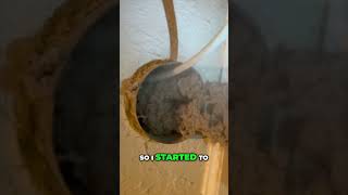 Shocking Dryer Vent Cleanup Years of Hidden Lint [upl. by Aldarcy906]