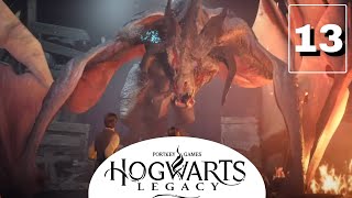 HOGWARTS LEGACY 13  DONJONS ET DRAGONS [upl. by Jemy289]