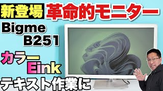 【ガジェット好き必見】カラー電子ペーパーを採用した25インチモニターが登場！「Bigme B251」をレビューします。用途が限られますが、めちゃ進化してます [upl. by Nimzzaj]