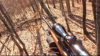 DEER RIFLE OPENER in PENNSYLVANIA BIG BUCK DOWN [upl. by Atrice]