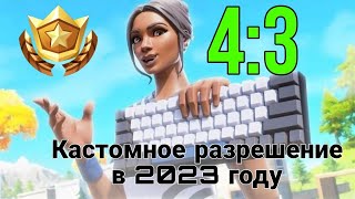 КАК ПОСТАВИТЬ КАСТОМНОЕ РАЗРЕШЕНИЕ В FORTNITE В 2023 ГОДУ [upl. by Eniliuqcaj]