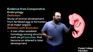 Evidence of evolution comparative embryology 2nd year biology chapter 24 lecture 12 [upl. by Feigin]