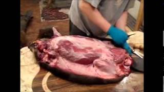 Skinning a beaver [upl. by Onfre]