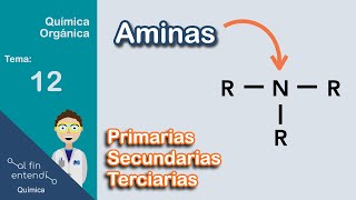 Nomenclatura y Clasificación  Ejemplos y Ejercicios [upl. by Vasily]