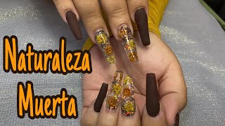 Uñas con naturaleza muerta [upl. by Thor992]