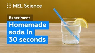 How to make a fizzy drink at home in 30 seconds DIY Experiment [upl. by Thanh51]