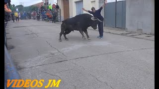 Encierro Calles Yunquera de Henares 180923 [upl. by Erbma500]