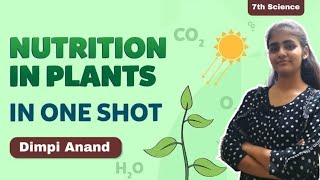 NUTRITION IN PLANTS  CLASS 7  ONE SHOT [upl. by Mikkanen]