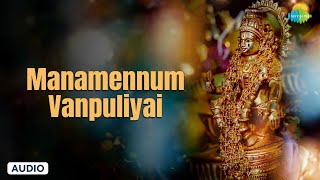 Manamennum Vanpuliyai  Ayyappan Bhakthi Padalgal  ஐயப்பன்  Saregama South Devotional [upl. by Anirehtac]