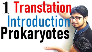 Translation in prokaryotes introduction  prokaryotic translation lecture 1 [upl. by Gorman]