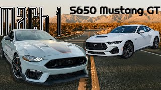 Top 5 Reasons Why I Bought a Mach 1 Mustang over an S650 Mustang GT [upl. by Enajharas174]