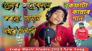 🌹তোমাৰ ভালোবাসায় 🥀কৰলো আমায় পথেৰী ভিখাৰীBanglagaan Tmar Bhalobasa Korlo  Amar Pathri Bhikari [upl. by Mateusz]