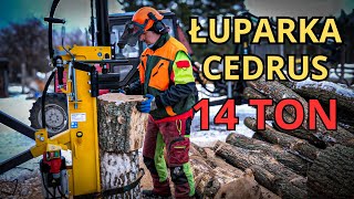 ŁUPARKA DO DREWNA CEDRUS 14 TON  Pierwsze wrażenia [upl. by Ver606]