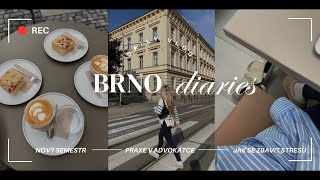 BRNO DIARIES II čtvrťák na právech praxe v advokátce amp jak se vyrovnat se stresem [upl. by Graves]