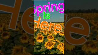 SPRING is here AT LAST The 1st of September is Spring Day in South Africa [upl. by Samantha]