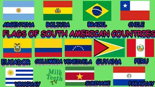 Flags of Countries of South America with Correct Pronunciation of Nationality Language and Capital [upl. by Vyse]