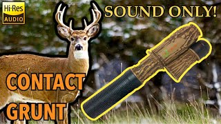 Sound Only Young Buck Contact Grunt Flextone “The Extractor” Deer Call [upl. by Inavoj]