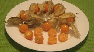 How to Eat Physalis Peruviana Cape Gooseberry Golden Berry Inca Berry [upl. by Putnem]