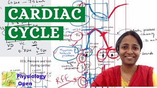 Cardiac cycle physiology mbbs 1st year pressure and volume changes Wiggers diagram CVS physiology [upl. by Aihsilef]