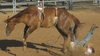 Ranch Broncs  2018 Will Rogers Range Riders Rodeo  Thursday [upl. by Trillbee740]