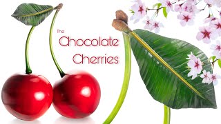 Chocolate Cherries [upl. by Aillil]