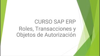 CURSO SAP ERP 3 Roles Transacciones y Objetos de Autorización [upl. by Lyndsie]